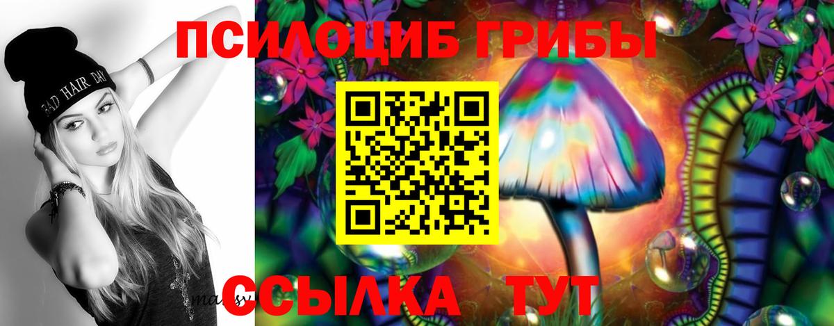 Галлюциногенные грибы Cubensis Владимир